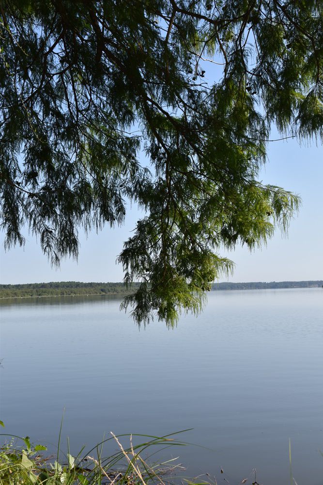 La Pointe des Vergnes, à Soustons...