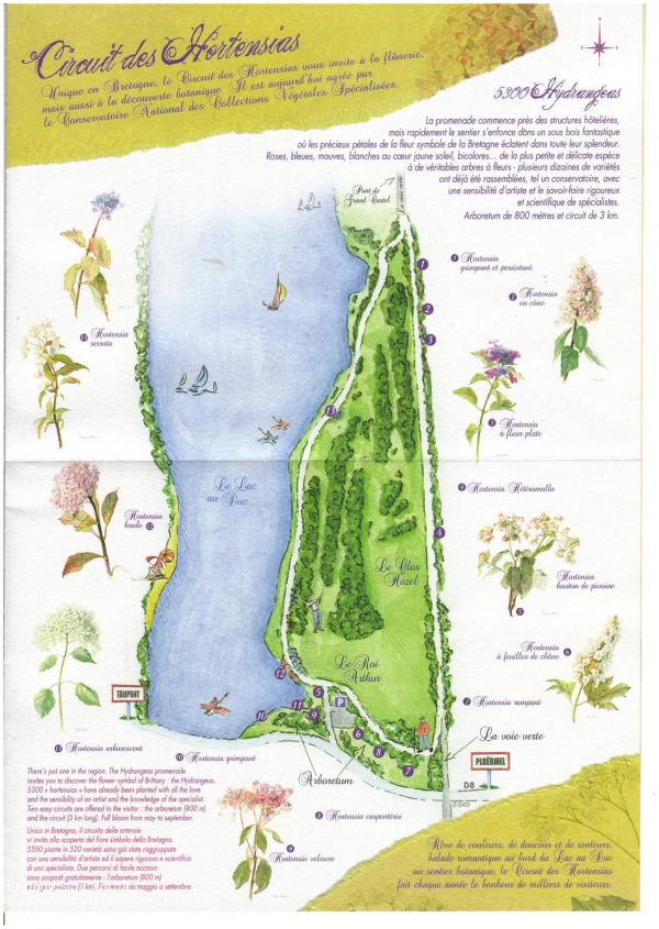 Circuit des HORTENSIAS à Ploermel 