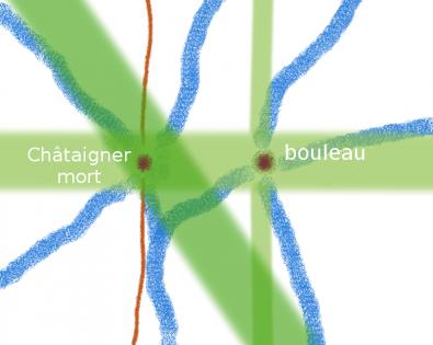 Réseaux, faille et courants d'eau