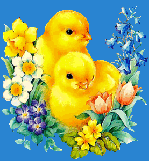 poussins-fleurs-source e5y[1]-copie-1