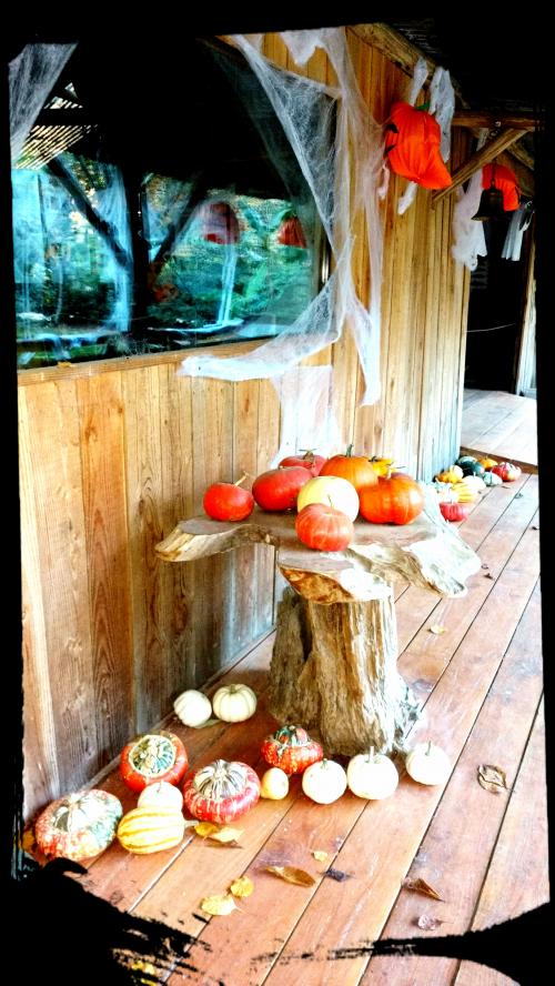 Happy Halloween ! 