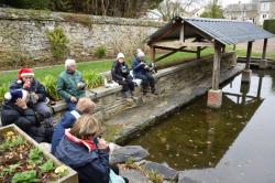 La randonnée du 19 décembre à Avenay