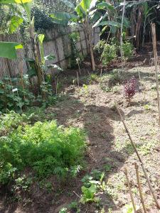 20150317_145107