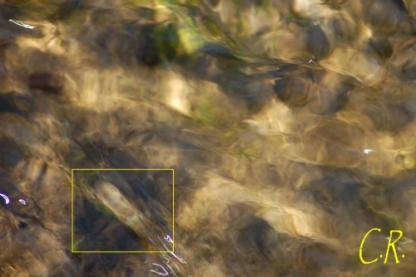 Photos exceptionnelles d'Emanants : Les visages humains