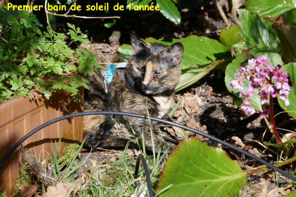 Retour de vacances