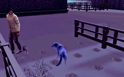 [CALF] Hiver 2 - Semaine 11 - Jours 71 à 74