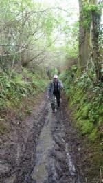 La randonnée du 6 mai à Bavent