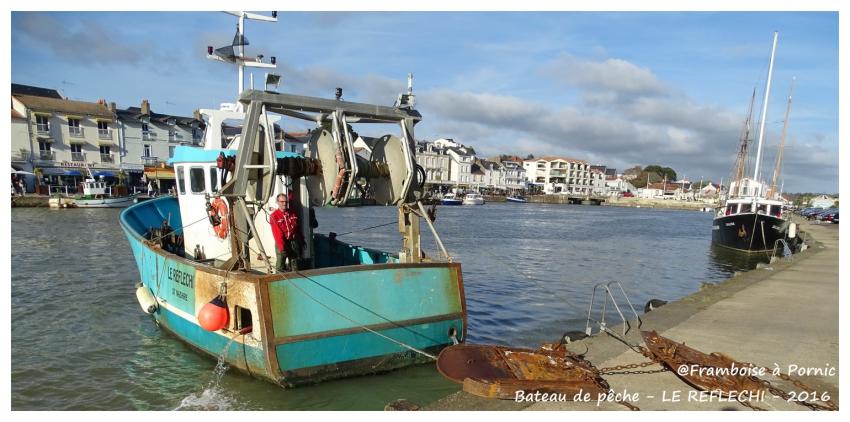 Pornic, les Bateaux de pêche se préparent 