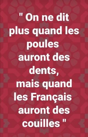 Météo, ordi, Zemmour , rien ne va plus ce lunidi?