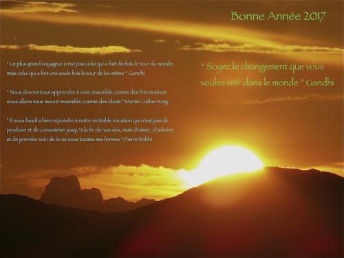 Bonne année 2017