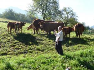 Meli Melo d'Automne ! 