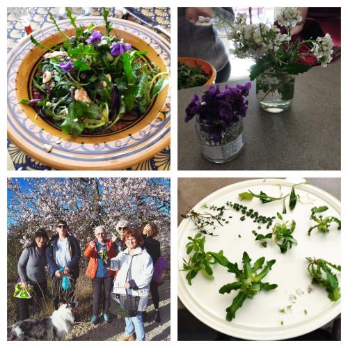 Yoga /cueillette de salades sauvages, 12 mars 2023