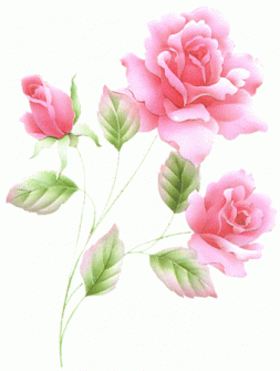 La rose ... son histoire ...
