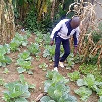L’image contient peut-être : une personne ou plus, plante, plein air, nature et nourriture