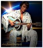 Fond ecran johnny hallyday006