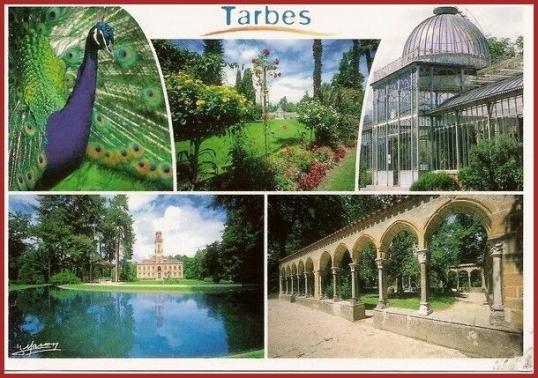 ╰⊱♥⊱╮ღ꧁ Département 65  ꧂ღ╭⊱♥≺