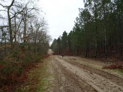 CR / RANDO 15 / ST-MEDARD-EN-JALLES