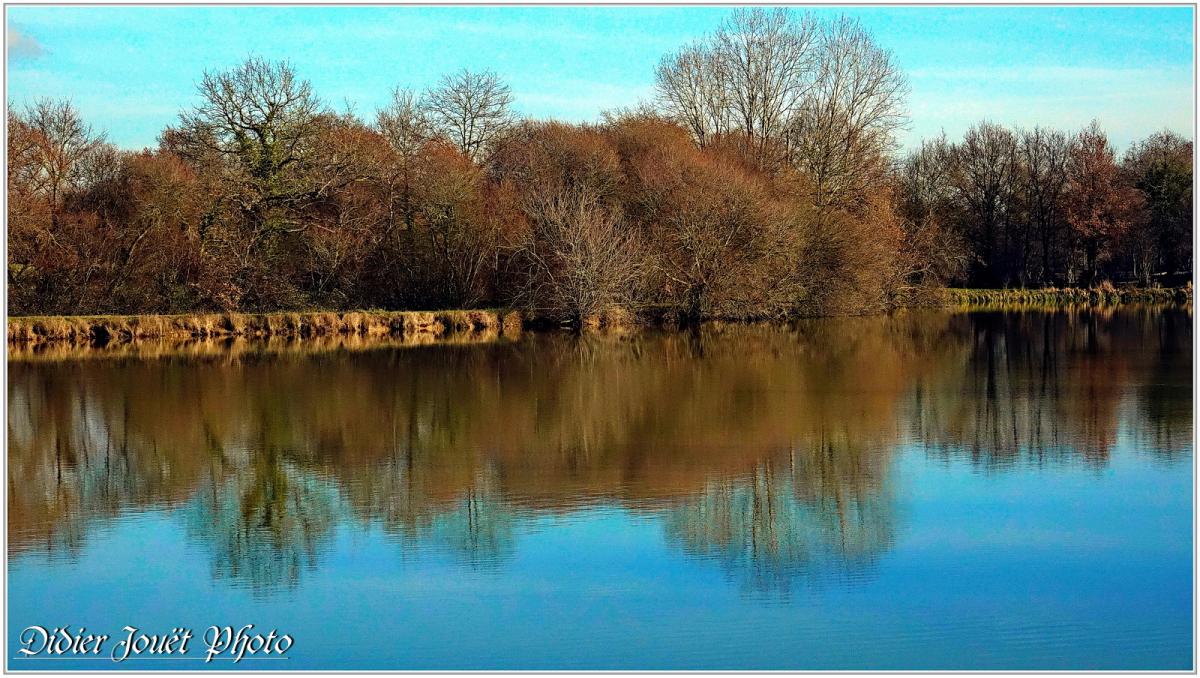 85 . Vendée - La Chaize le Vicomte (26) - Etang communal
