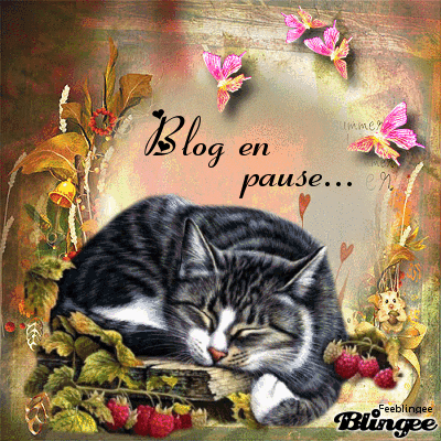 Chat endormi et papillons
