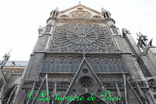 La cathédrale Notre-Dame de Paris