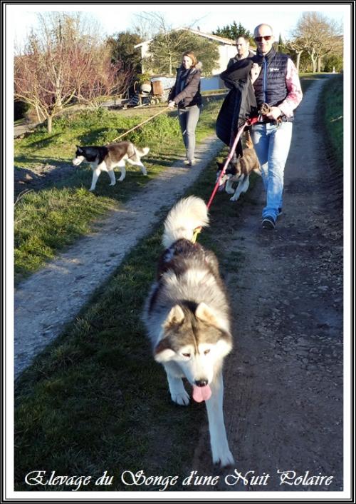 Sortie en famille (17 février 2019)