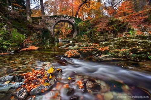 LES PONTS MAGIQUES