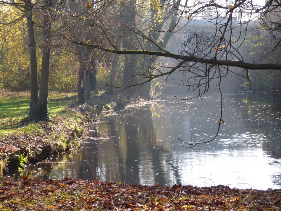Irrésistiblement, elle m'appelle