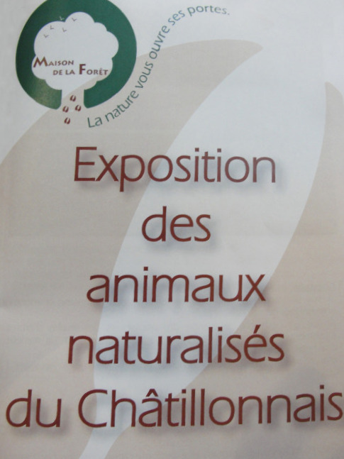 -Les étangs des Marots