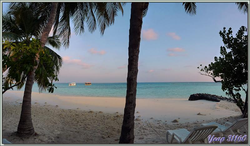 Notre bungalow pieds dans l'eau et tête dans les palmiers - Athuruga - Atoll d'Ari - Maldives