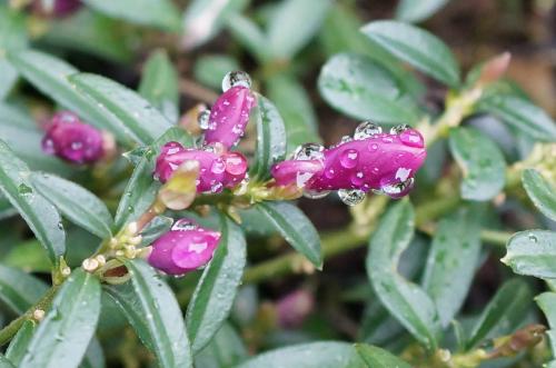 Le printemps s'installe en avril