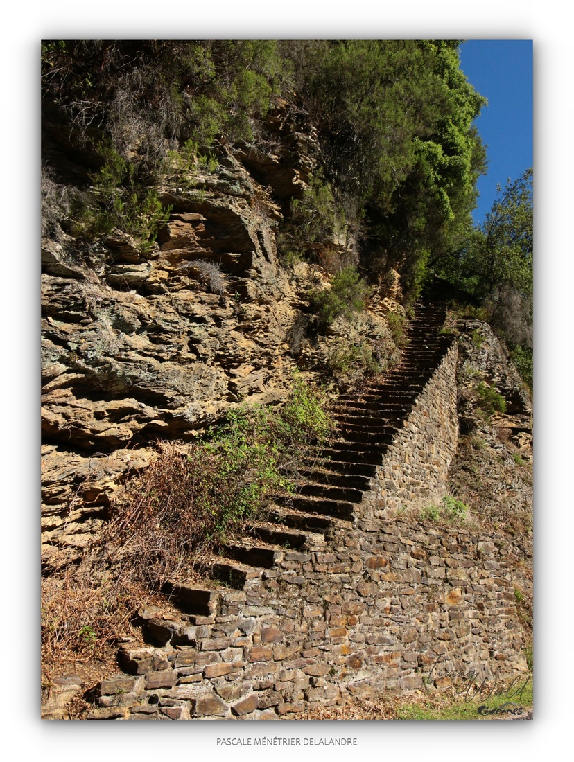 Faïsses ou Bancels en Cévennes