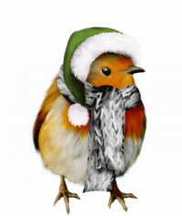 Mésange 