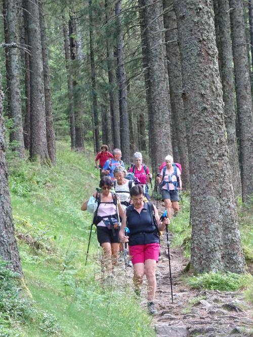 "Vosges 2022 - Après-midi du 10 juillet 2022 - Pied du Hohneck-Etang du Devin"