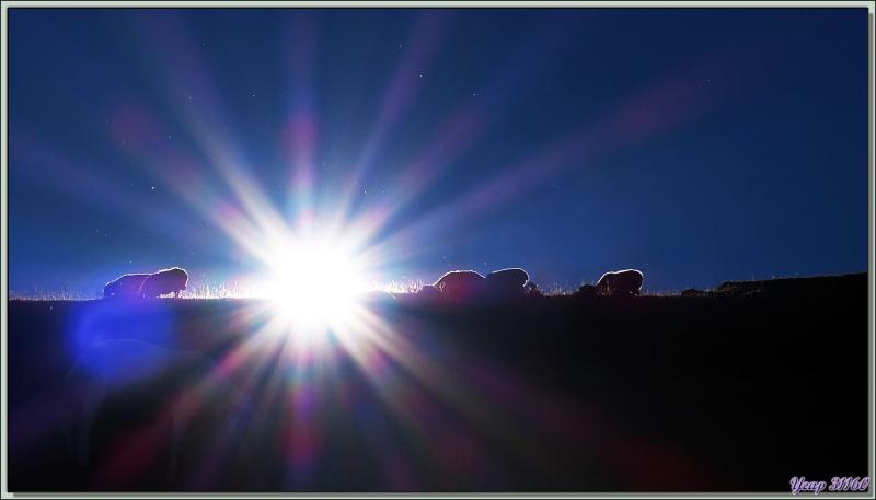 Lever de soleil sur les crêtes du Cagire - 31