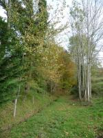 Juste avant confinement ....