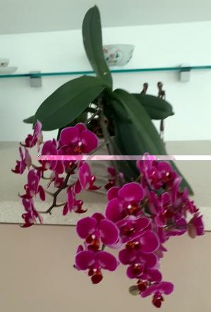 LE VRAC'INFOS de la semaine !