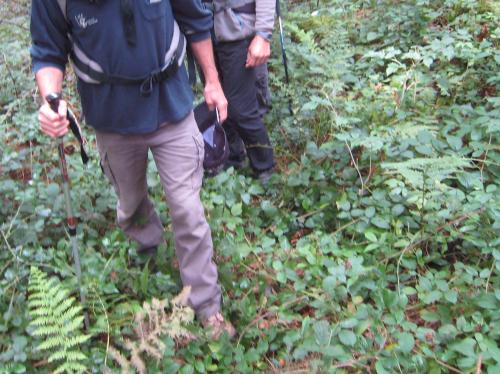 "Escapade en Vosges méridionales" - Week-end du 05 & 06 septembre 2015