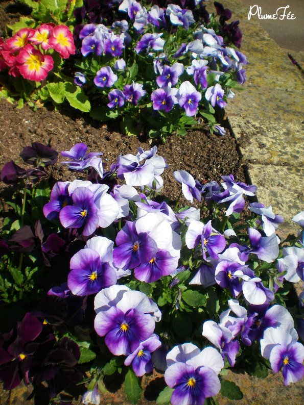 Image003.jpg