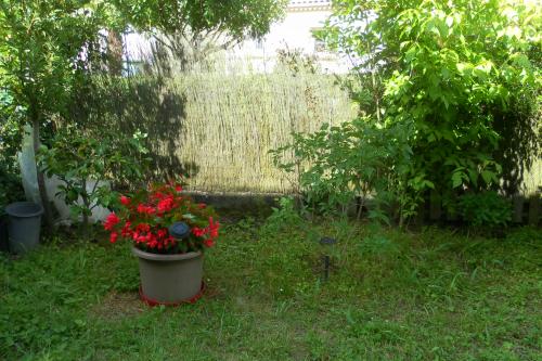 j'ai descendu dans mon jardin.....