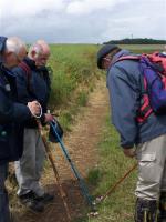 La randonnée du 23 juin à Vieux-la-Romaine
