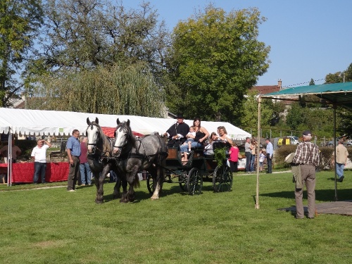 La fête de l'Automne à Leuglay...