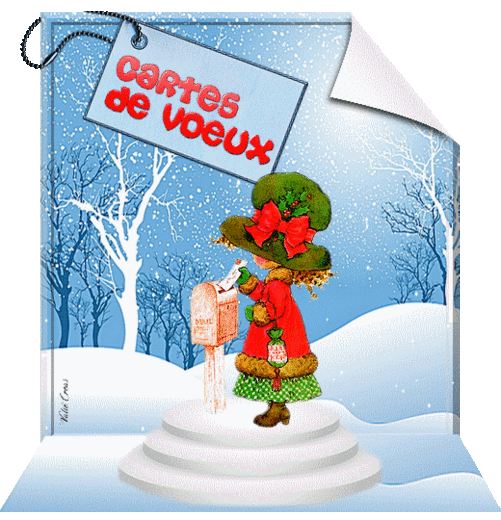 CARTES DE VOEUX 1