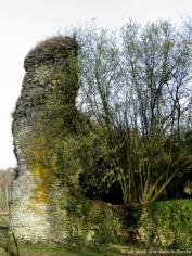 LES REMPARTS DE L'HÔME-CHAMONDOT (Orne)