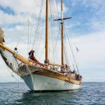 Actualités / Infos > Les Matelots de la Vie