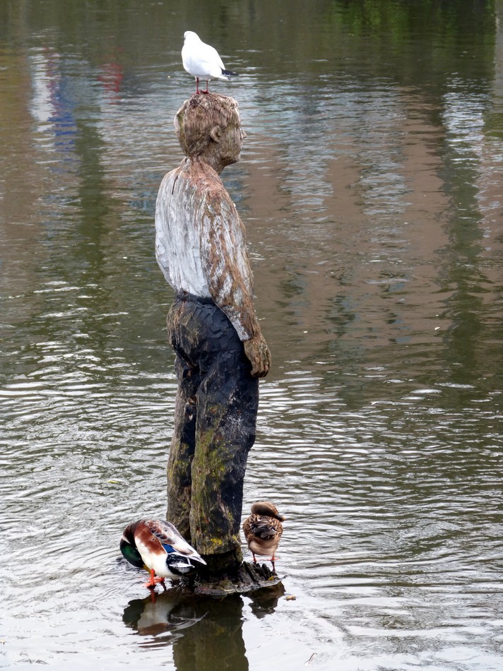 Notre monsieur sur l'eau
