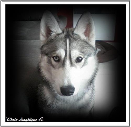 Jeska (7 mois)
