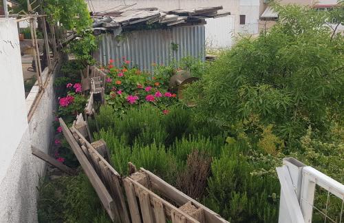 SYROS, la très belle...