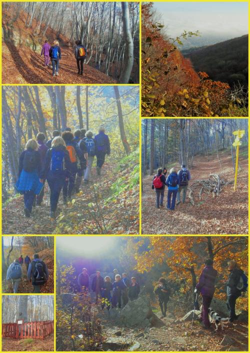 Rando du 11 novembre 2014