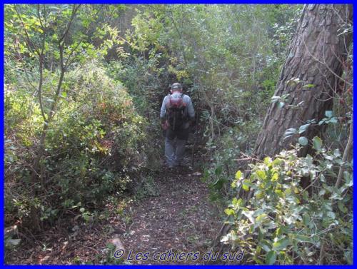 Le vallat des Brayes