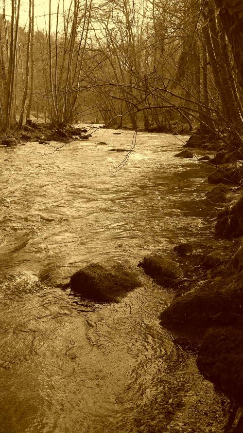 L'ouverture de la truite 2016